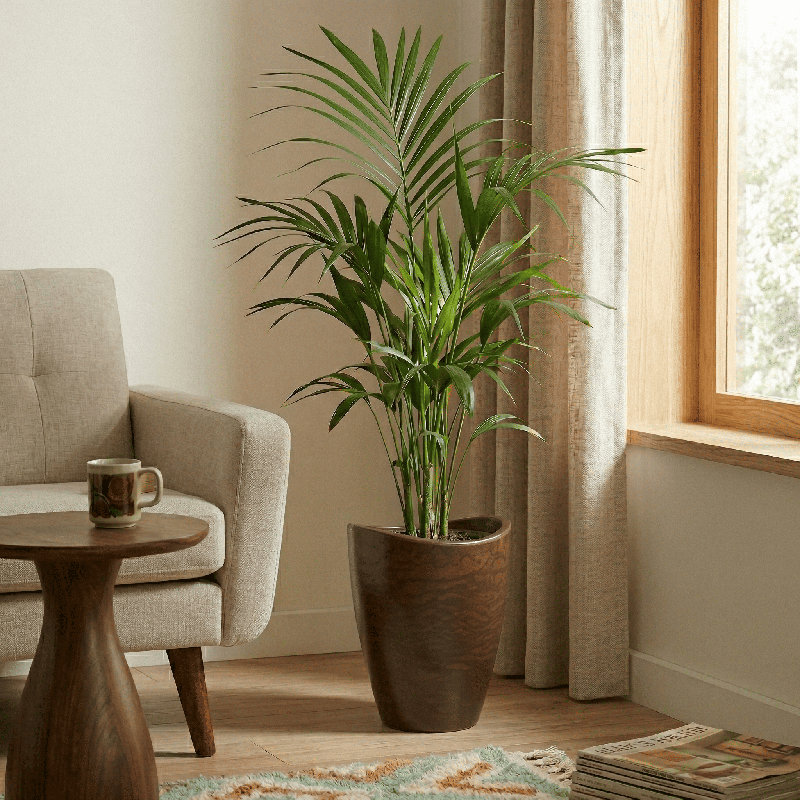 Vinisha ECOBO EcoFriendly Round Pot Planter, Onda IndoorOutdoor use, Four Season Use, Brown, 15.8" H x 11.8" W x 11.8" D
