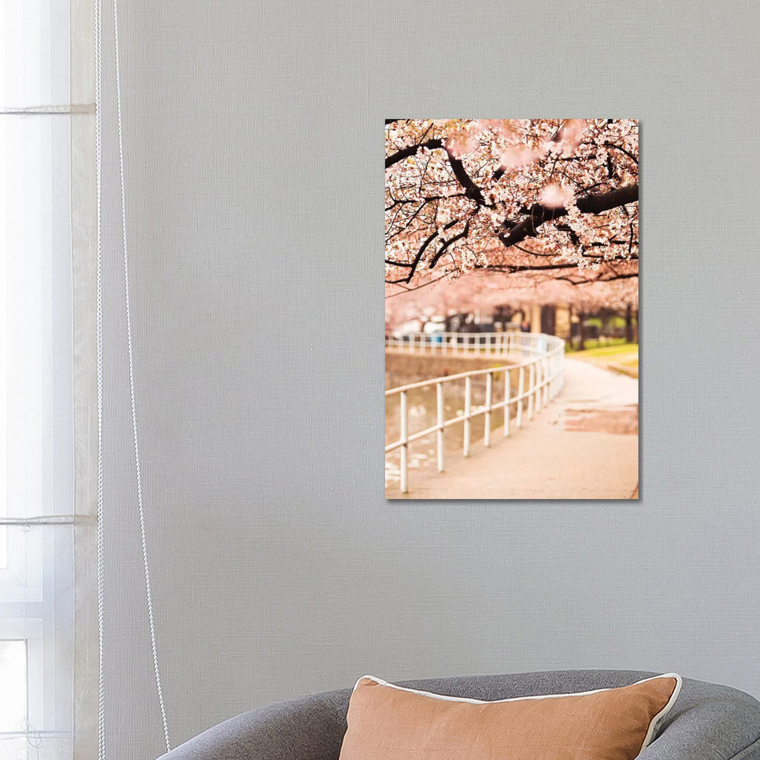 Canopy Of Cherry Blossoms Over A Walking Trail von Susan Richey - Gallery-Wrapped Canvas Giclée