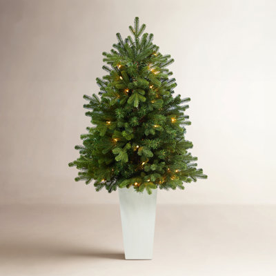 Washington Easy Set-Up 42' Lighted Christmas Tree