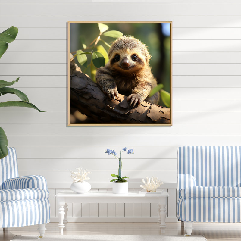 Photo de bébé paresseux - reproduction sur toile, H 36 po x l 36 po x P 1,5 po, Cadre flottant brun