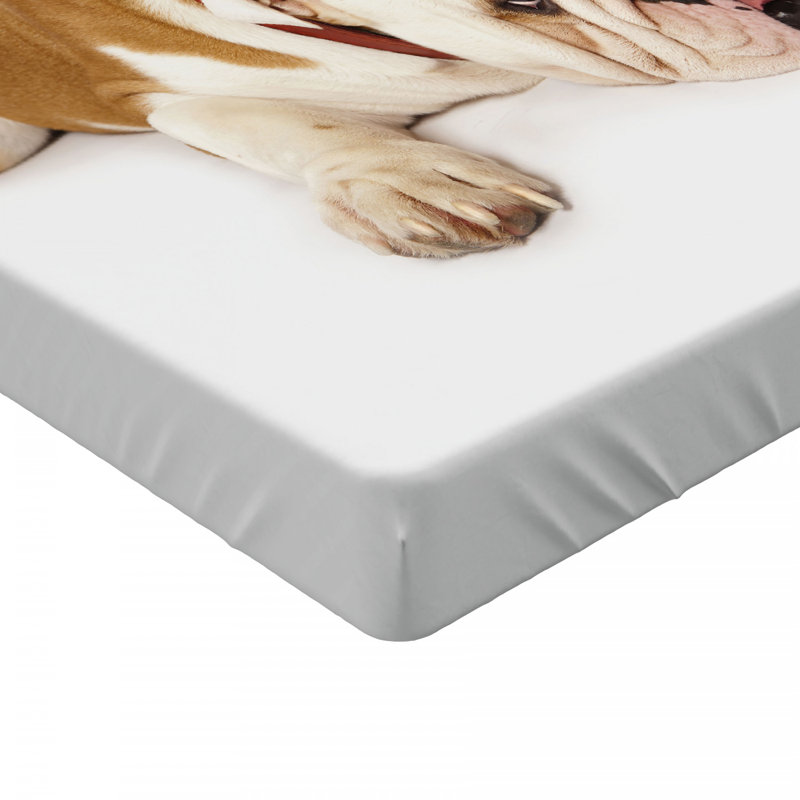 Microfiber Fitted Sheet, Full Fitted Sheet