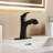 Single-Handle Bathroom Faucet with 20" Pull-Out Sprayer with 2 Spray Settings-134912247