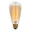 Ampoule incandescente à intensité variable 60 watts ST19, (2200K) de couleur ambre E26 / à culot moyen (standard)