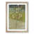 Oak Framed
