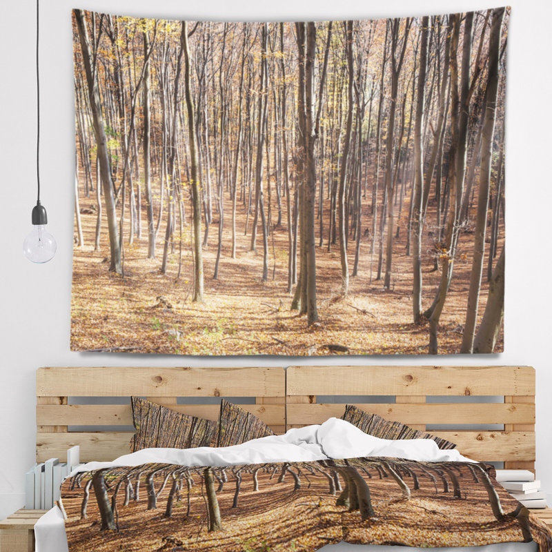 Tapisserie épaisse de la forêt des Carpates, H 50 po x l 60 po