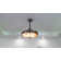 Imaani 42'' Ceiling Fan with LED Lights