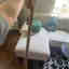 Customer photo 2 of 2