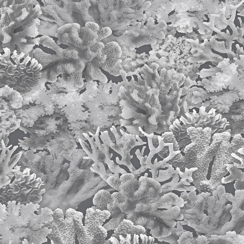  Panneau de papier peint Coral L 36 po x l 20,5 po, Gris cendre, L 33 po x l 20,5 po