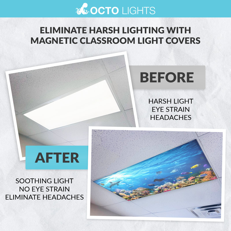 Océan - Couvercle de lampe fluorescente magnétique pour plafonniers de classe - 2 x 4 - par Octo Lights