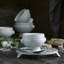 Lion's Head Tureen