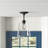 Barba 1-Light Ceiling Light in Matte Black