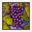 Grapes By John Beard - Framed Gallery Wrapped Canvas Print-274310547-274310556