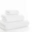 Egoist Washcloth-70119567