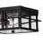 Matte Black 2 - Bulb Outdoor Flush Mount
