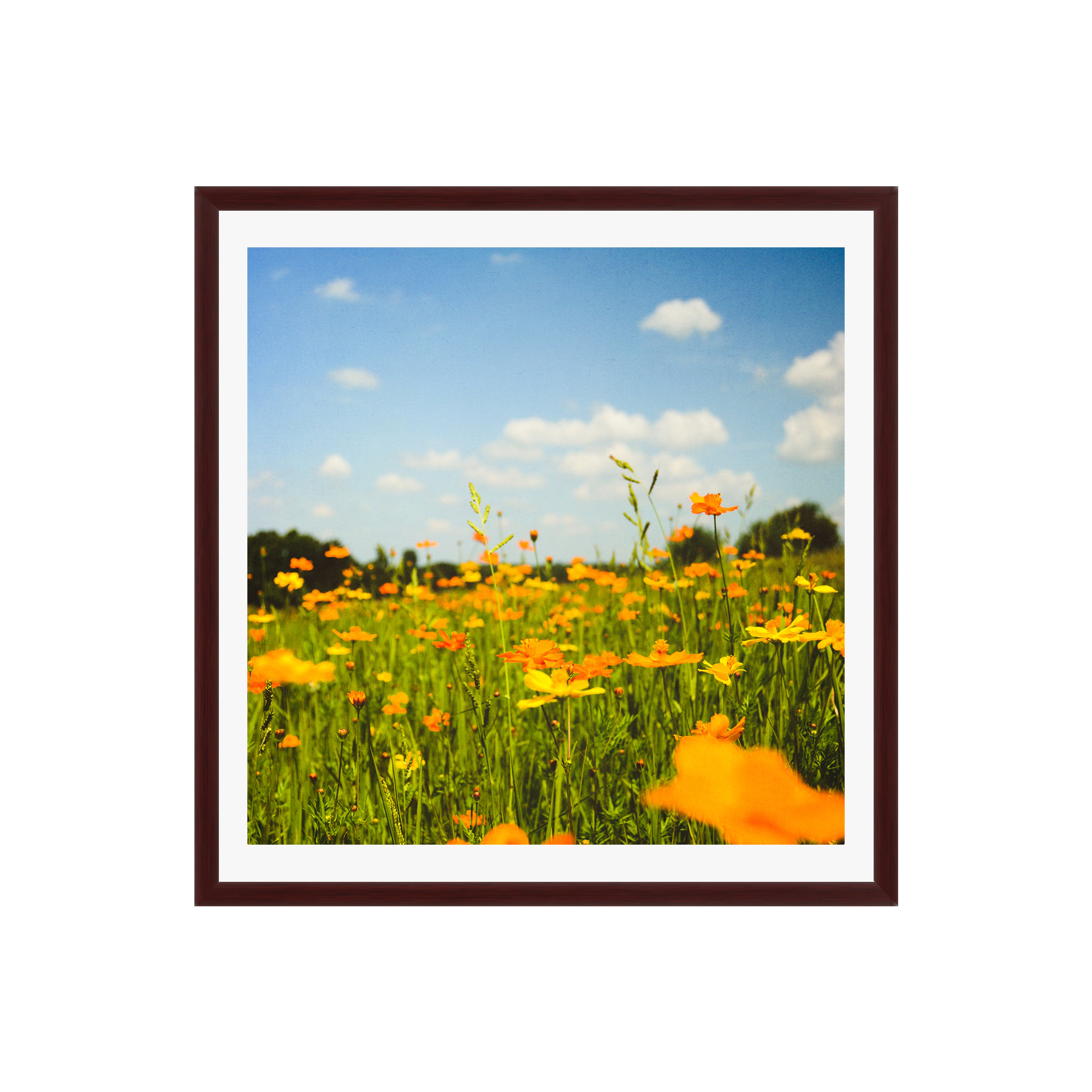 Summertime Good Vibes by Olivia St Claire, 12" W x 12" H, No, Mahogany Floater Framed