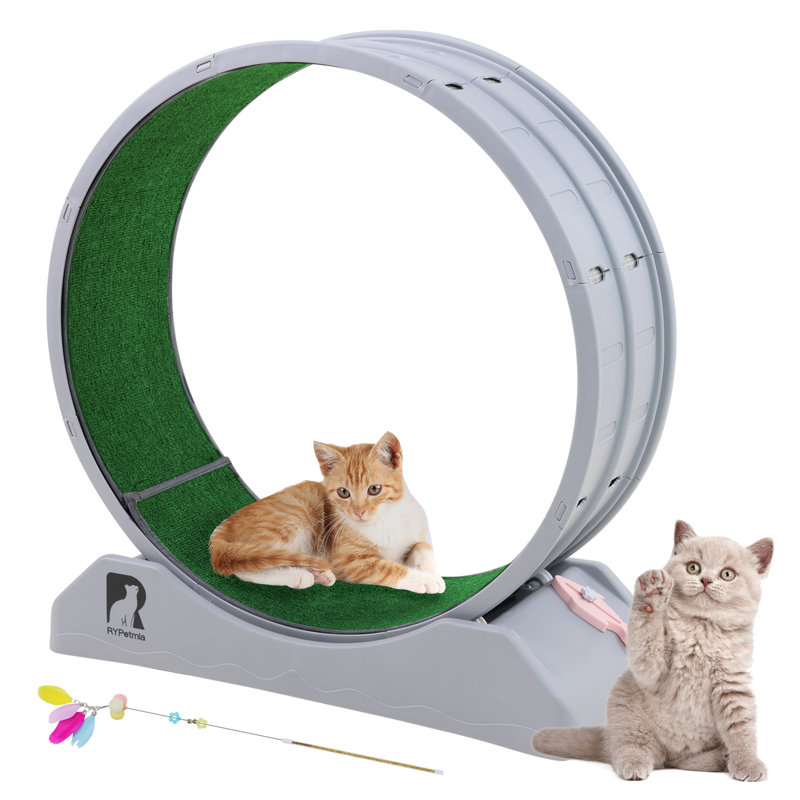 Roue d'exercice pour chat 33,5 "sans bruit, Gris