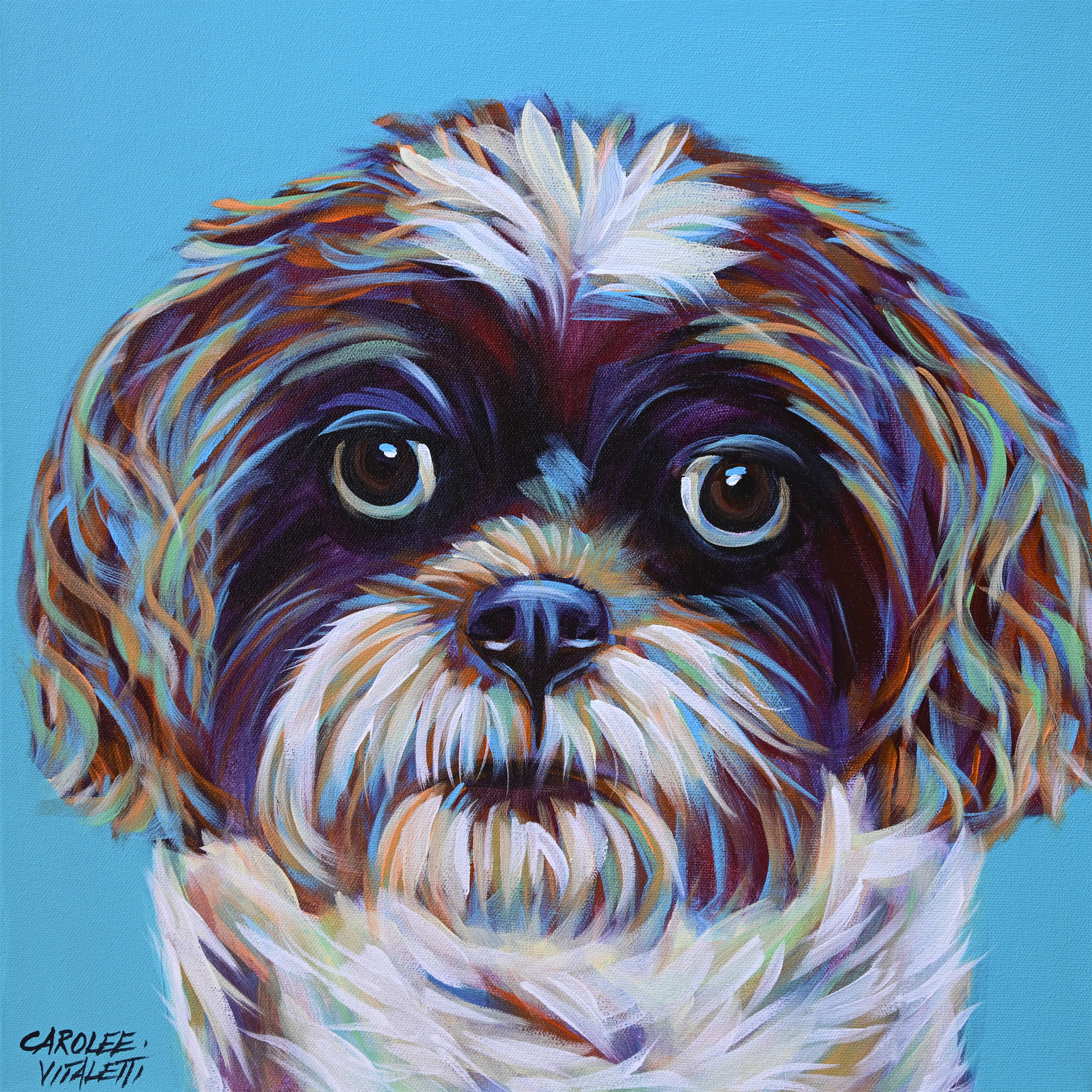 Shih tzu canvas store art