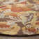 Emrick Blossom Hand Hooked Wool/Cotton/Latex Floral Rug in Brown