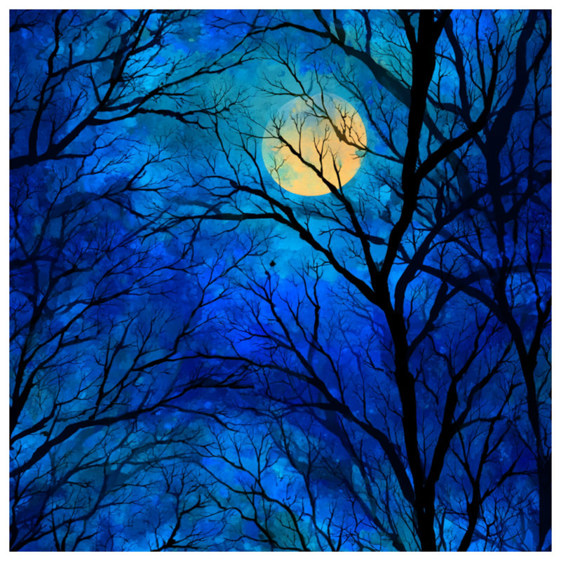 Rideaux Moonlit Trees, Transparent, 50" x 80" - 1 Panel