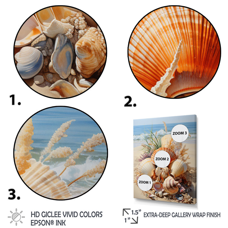 Photo de plage, coquillage, collage V - animaux, impressions d'art mural, H 20 po x l 12 po x P 1 po, Cadre photo argenté