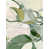 Gild Silver selected