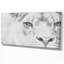 «Black and White Lion», reproduction d'art sur toile tendue-29496047
