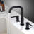 2-handle Bathroom Faucet-67081299