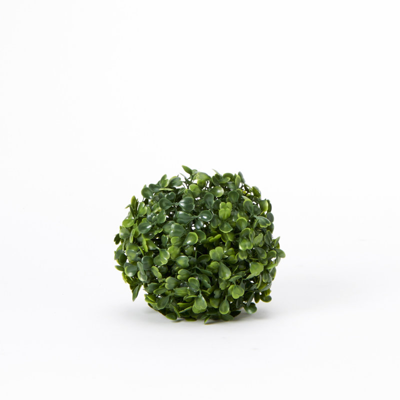 Topiaire buis ball plante, H 4 po x l 4 po x P 4 po