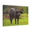No Frame Print on Canvas-1122783067