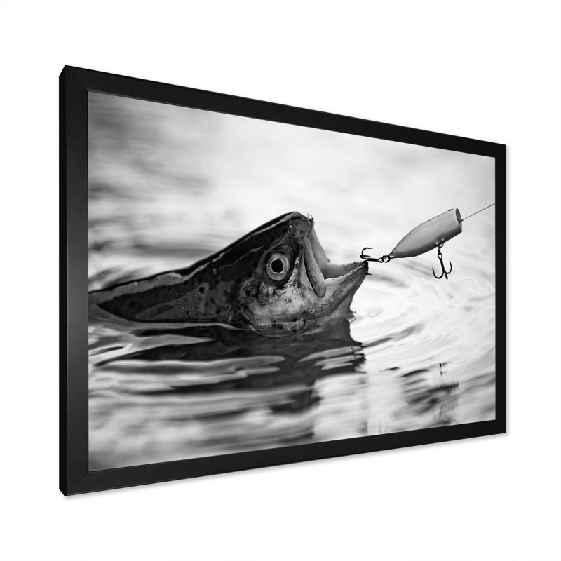 Catching Bass Fish - Fishing Framed Canvas Print Hunting Wall Art, 30" H x 40" W x 1.5" D, Black Single Picture Framed