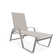 Holna Outdoor Rust-Resistant Metal Chaise Lounge