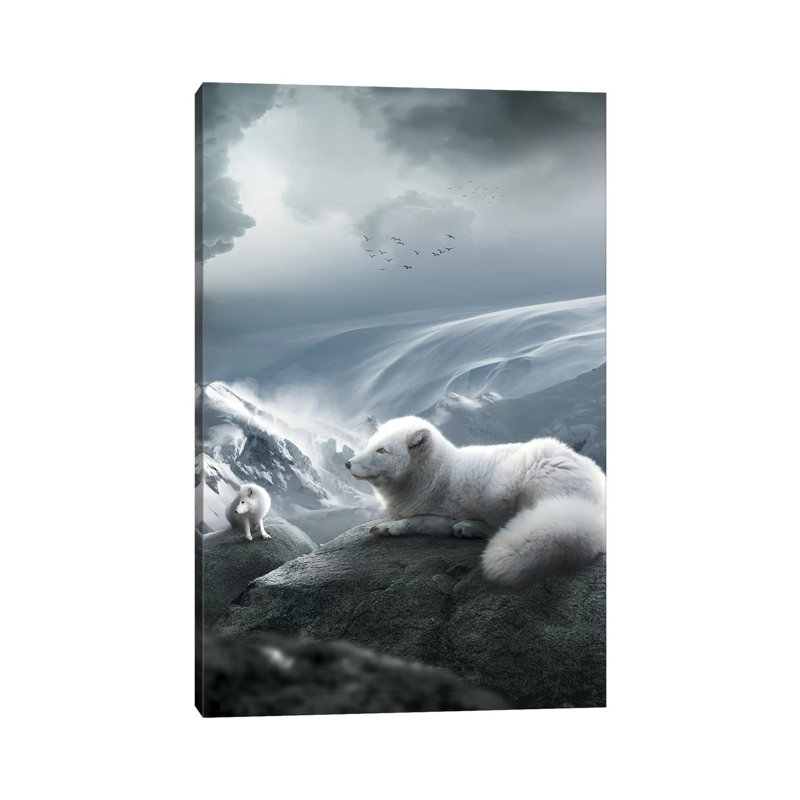 Arctic Foxes by Zenja Gammer - Print on Canvas, 20.32 cm H x 30.48 cm W, Wrapped Canvas
