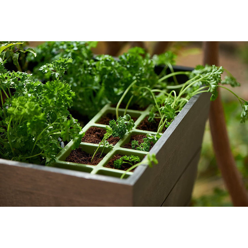 Dolans Planter Box