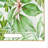 18.1" W Plastic Tropical Serving Platter, Decorative Tropical Serving Tray for Dining Table, Kitchen, or Coffee Table