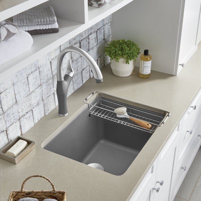 Liven 25'' L x 22'' W Dual Mount Laundry Sink with Faucet & Sink Cleaner, Coal Black