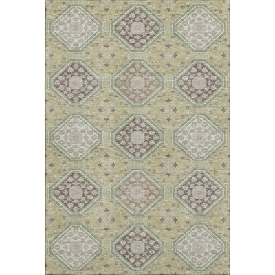 Premium Machine Washable Sykora AMF1442 Formal Rug