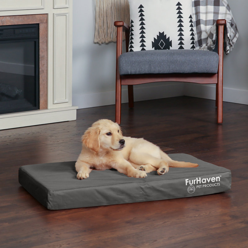 Oxford Indoor/Outdoor Deluxe Full Support Dog Bed, Medium (30" W x 20" D x 3" H), Stone Gray