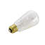 Ampoule incandescente 60 W ST19, intensité non variable, culot E26 / moyen (standard)