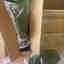 Customer photo 8 of 13