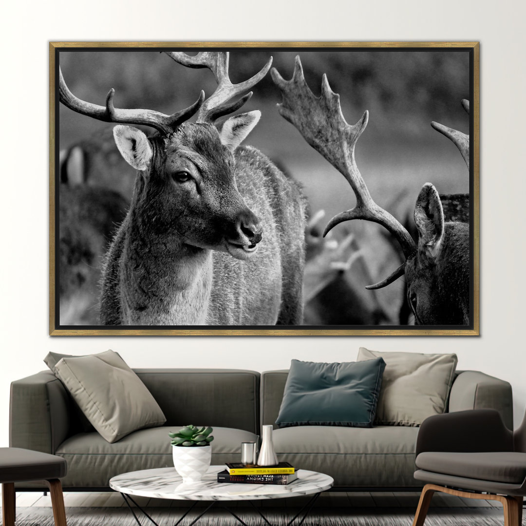 Print on Canvas