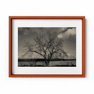 Baum Im Winter Print by Joseph Regan