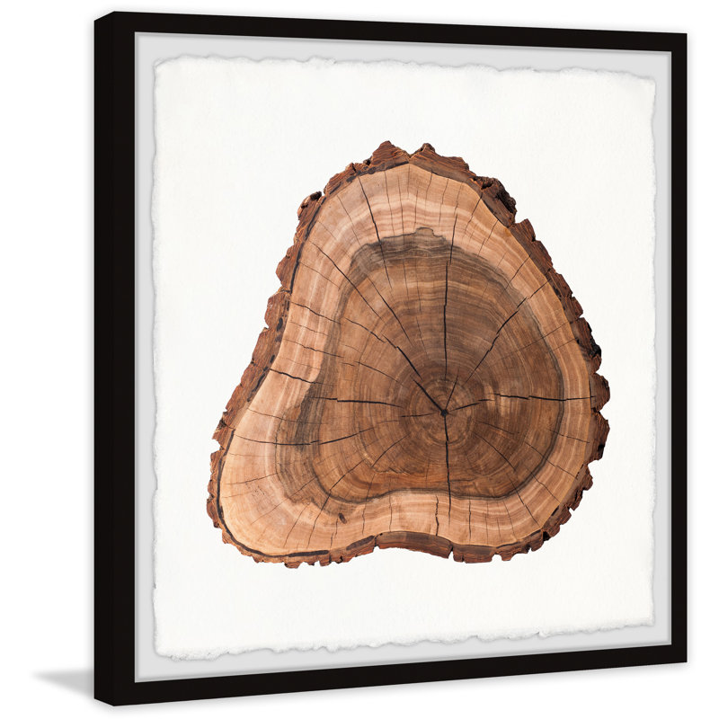 Grow Old by Marmont Hill - Single Picture Frame Painting, 30cm H x 30cm W x 3.81cm D