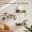 Swaffham Floating Shelf
