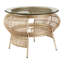 Mantis Bicycle Wheel Design Coffee Table-1042649551