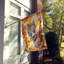 Chat en feuilles d'automne-112700499