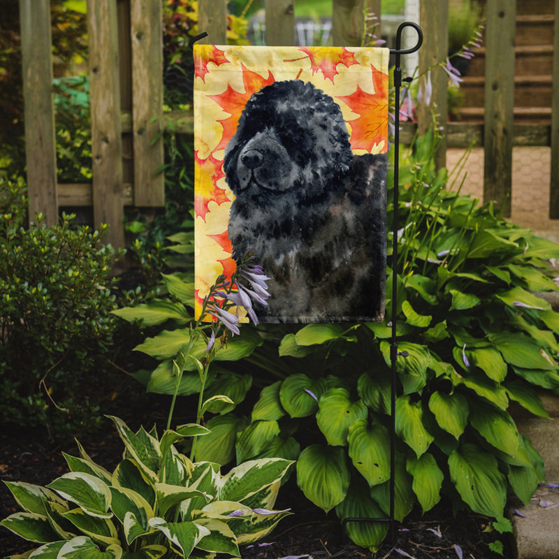 Automne 2 côtés en polyester 15 x 11 po drapeau de jardin, Noir Terre-Terre
