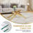 Madlaina Glass Top Single Coffee Table-203751561