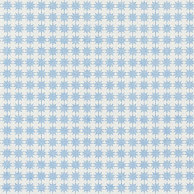Schumacher x Studio Bon Stella Fabric