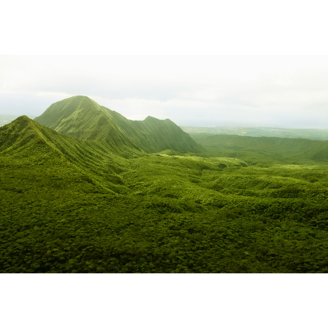 Pristine Rainforest, Reunion Island, East Africa, Indian Ocean. by AfricaImages - Kunstdrucke auf Leinwand ohne Rahmen