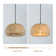 Plug In Pendant Light Fixture